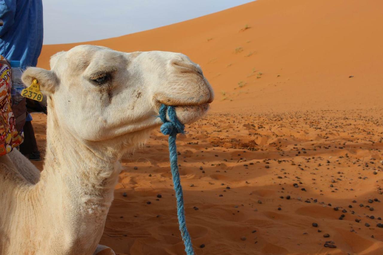Riad Hotel Les Flamants Merzouga Eksteriør billede